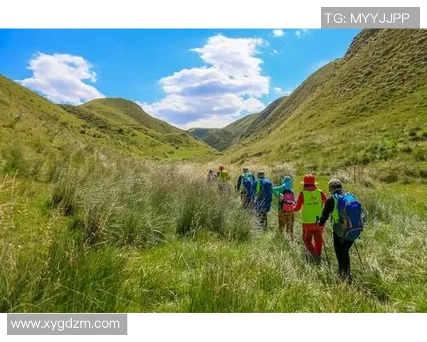 探索运动的无限可能：从身体健康到心理调节的全方位解读